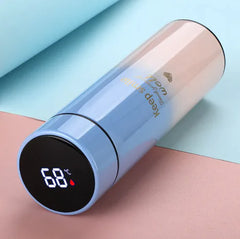 Digital Temperature Bottle
